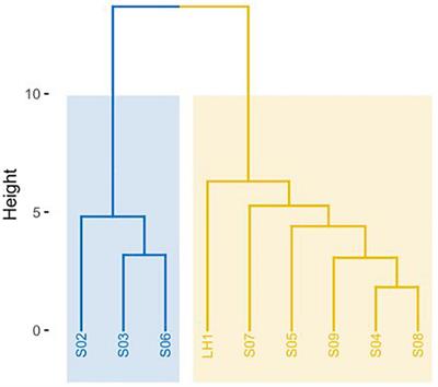 Recent Differentiation of Aquatic Bacterial Communities in a Hydrological System in the Cuatro Ciénegas Basin, After a Natural Perturbation